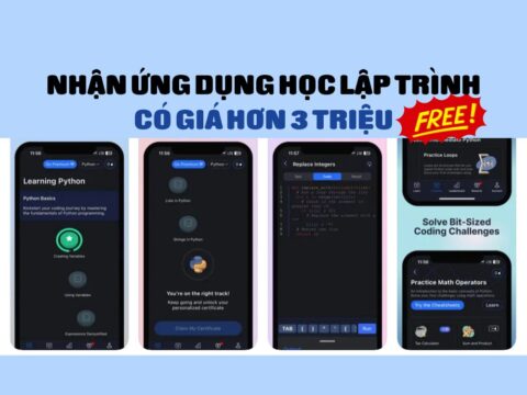 ung dung hoc lap trinh mien phi