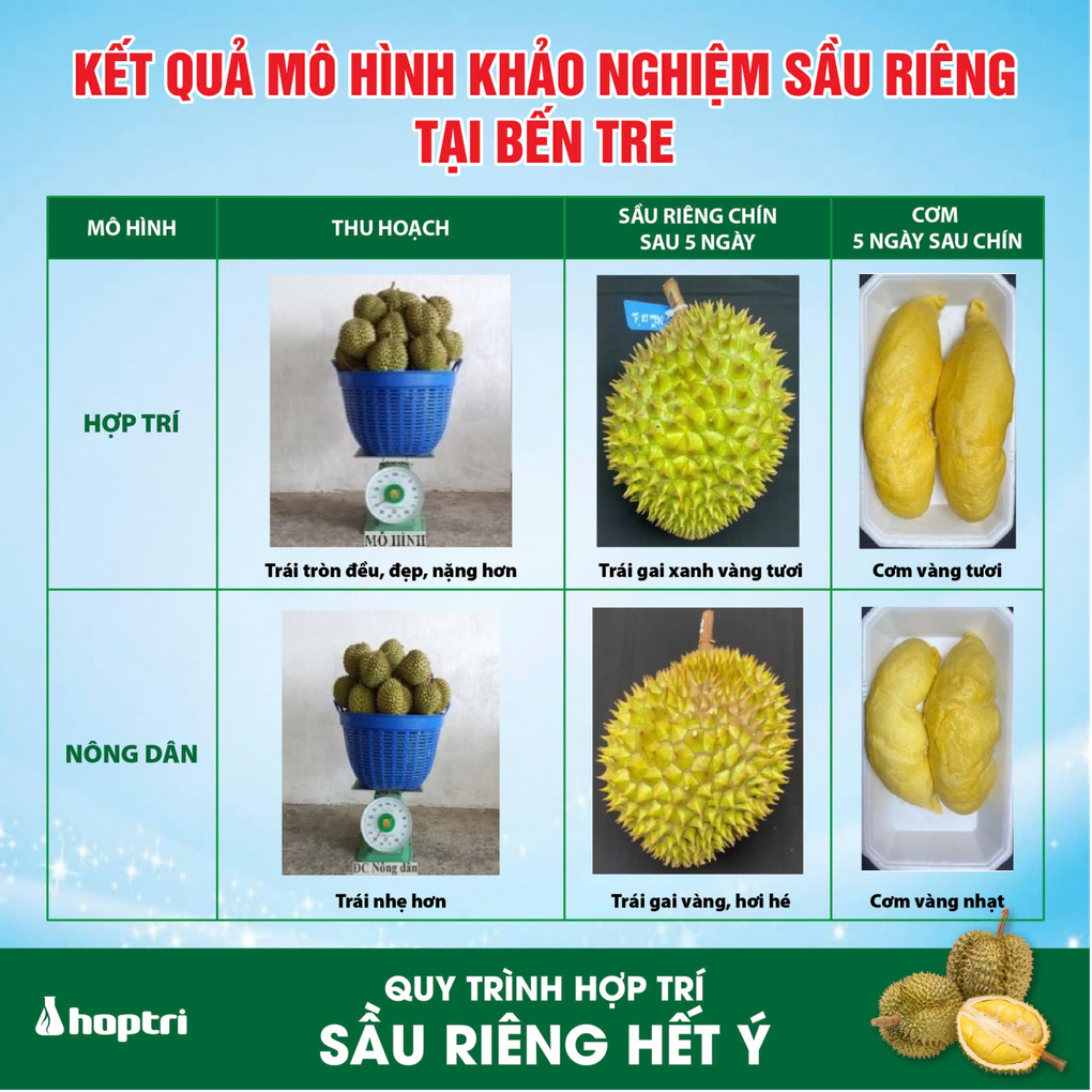 Điểm nổi bật của quy trình canh tác Hợp Trí Summit giúp sầu riêng có thể xuất khẩu - 3 Điểm nổi bật của quy trình canh tác Hợp Trí Summit giúp sầu riêng có thể xuất khẩu - 3